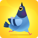 Pigeon Pop APK