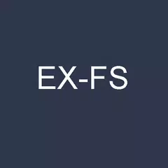 EX-FS