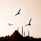 ikon For Xperia Theme İstanbul