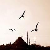 For Xperia Theme İstanbul icône