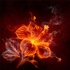 For Xperia Theme Rosefire ikona