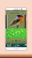 New Masteran Mantenan 截圖 3