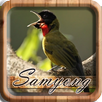 Samyong Merdu Sahdu APK