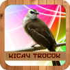 Trocok Borok cikrok Borok Cikrok APK