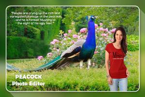 Peacock Photo Editor 스크린샷 1