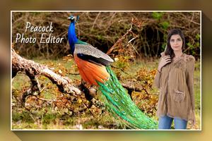 Peacock Photo Editor 스크린샷 2