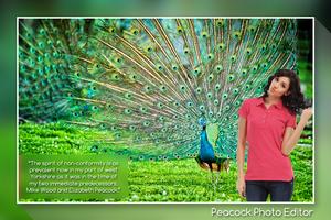 Peacock Photo Editor 截圖 3