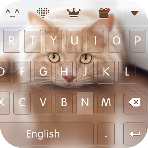 keyboard - Boto : Cute Kitty
