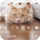 keyboard - Boto : Cute Kitty-APK