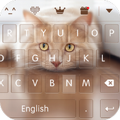 keyboard - Boto  icon