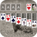 Solitaire 🐰