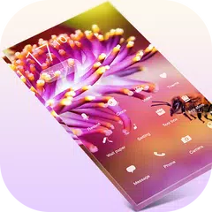 Photograph APK download