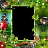 Hoopoe Insta DP الملصق