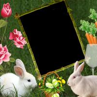 Rabbit Insta DP imagem de tela 3