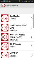 Audio formats screenshot 2