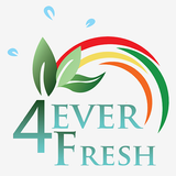 4EVER FRESH