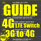 Guide For 4G LTE Switch-icoon