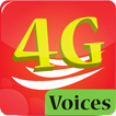 4gvoice