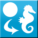 Shape Evolution Game APK