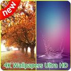 4K Wallpapers Ultra HD アイコン