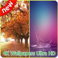 4K Wallpapers Ultra HD ポスター