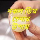 নকল ডিম চেনার উপায় biểu tượng