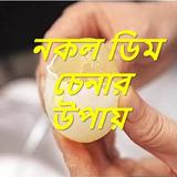 নকল ডিম চেনার উপায় آئیکن