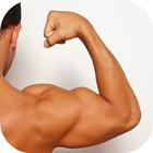 développement des muscles иконка