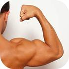 développement des muscles آئیکن