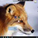 Fox Wallpaper 2018 Pictures HD Images Free Photos APK
