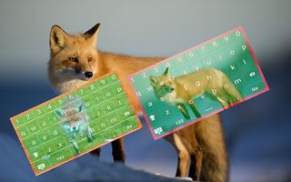 Fox and Wolf Keyboard Theme Affiche