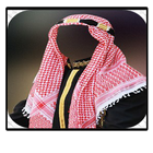 Frame arab man icône