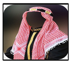 Frame arab man icon