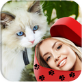 Katze Bilderrahmen