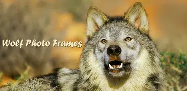 Wolf Photo Frames