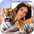 Tiger Photo Frames