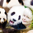 Cadres panda pour photos icône