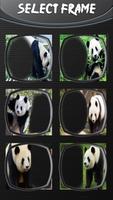 Cadres panda pour photos capture d'écran 1