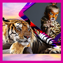 Cadres de tigre pour photos APK