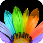 Photo Frames Colorful Flowers icon