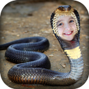 Snake Photo Frame APK