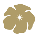 Armelle Kerato 35 APK
