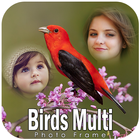 Birds Photo Frames 图标