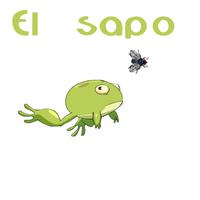 Sapo Atrapa las moscas poster