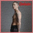 Eminem Album APK