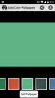 Solid Color Background 포스터