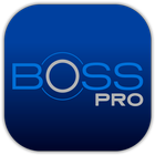 BOSS Pro Zeichen