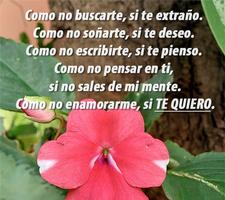 Frases para cartas de amor Poster