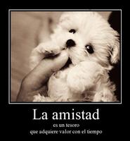 Frases de amistad imagenes 스크린샷 1