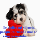 Frases Lindas de Amor APK